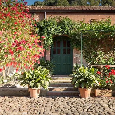 Bed and breakfast Masseria Pernice 4*